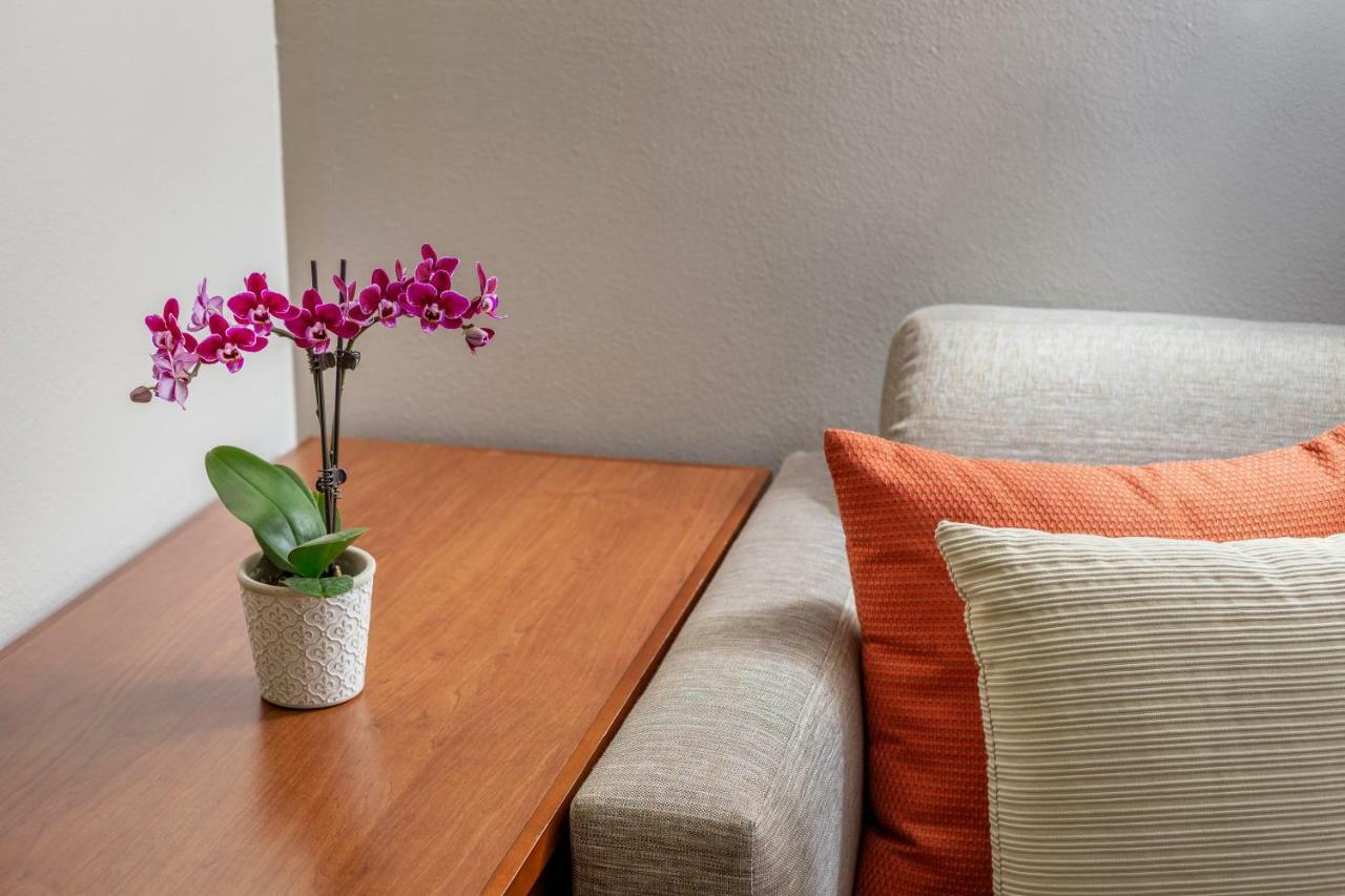 Hyatt Place Dallas/North Arlington/Grand Prairie 외부 사진